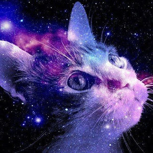 Meet your Posher, Illuminatingluna